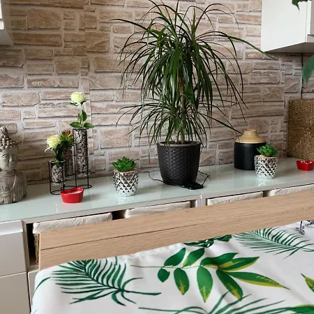 Apartament Simon
