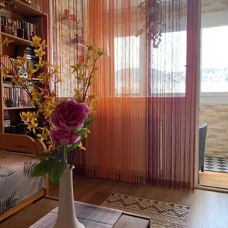 Apartment Simon